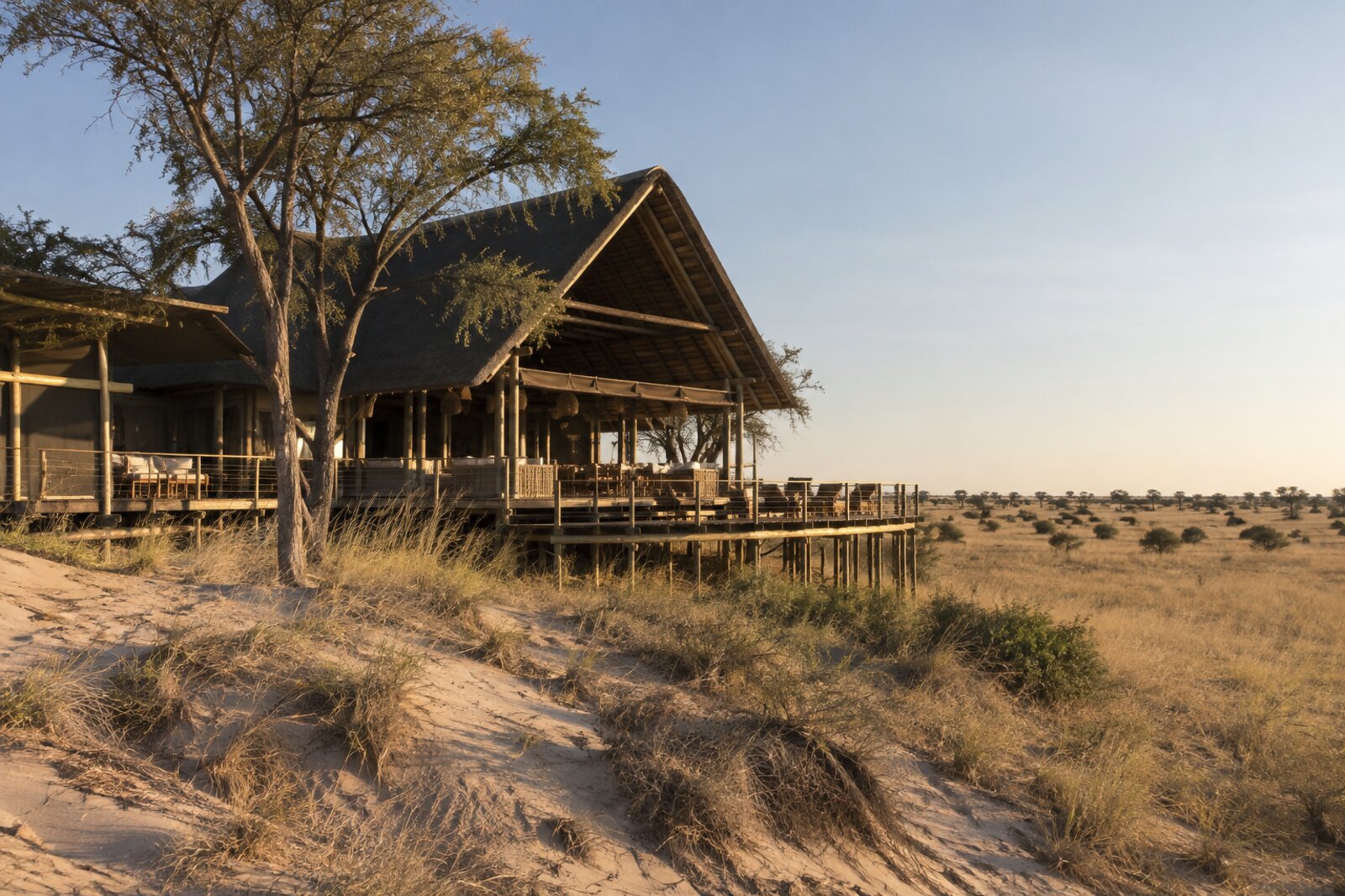 Thatched main lounge and deck of Tau Pan Camp on a dune in the Central Kalahari