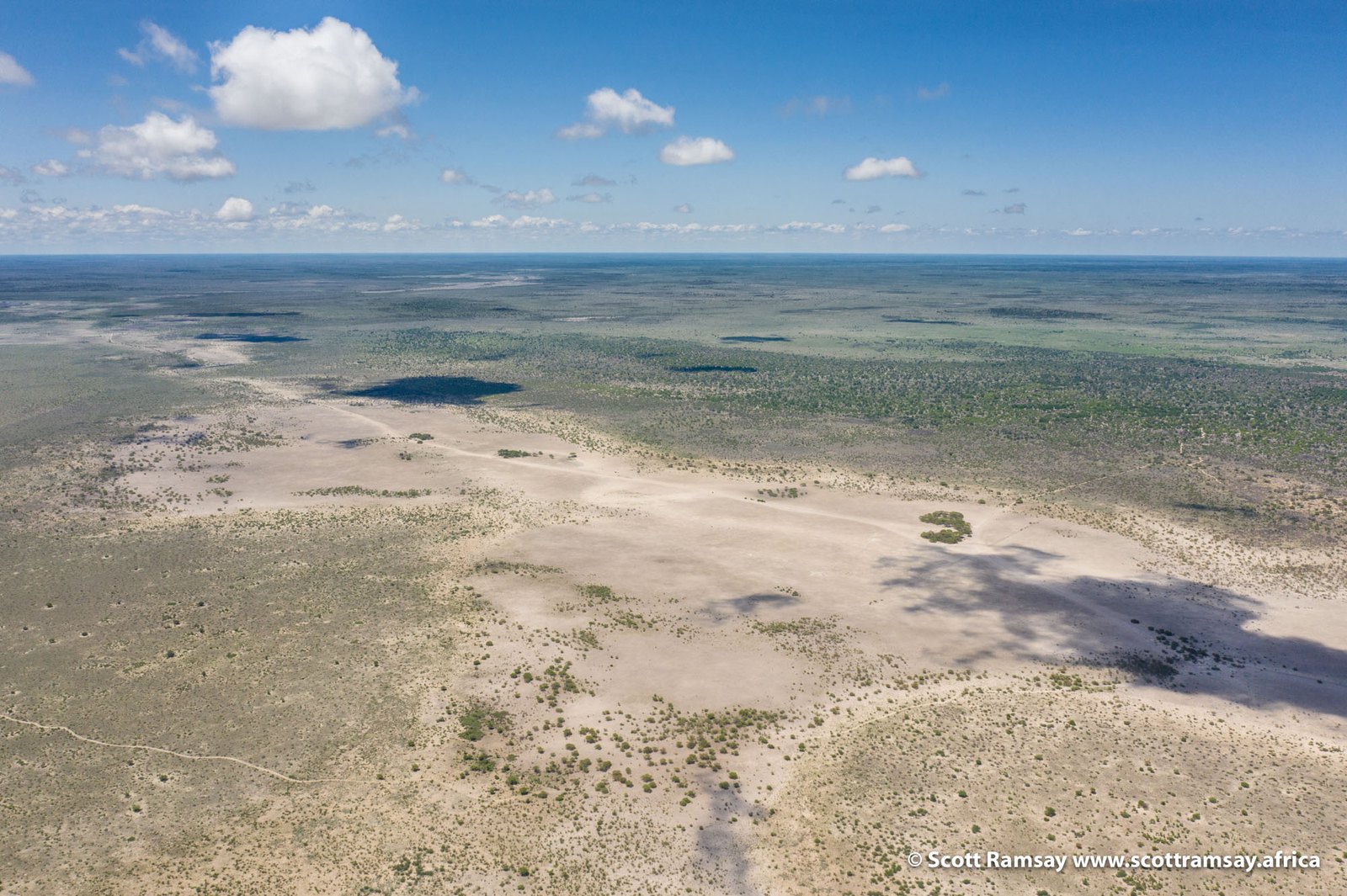 Kalahari grasslands, Botswana