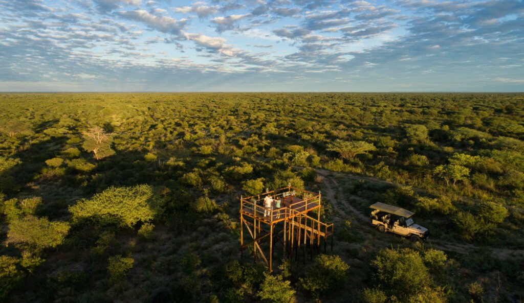 Gemsbok in the Kalahari