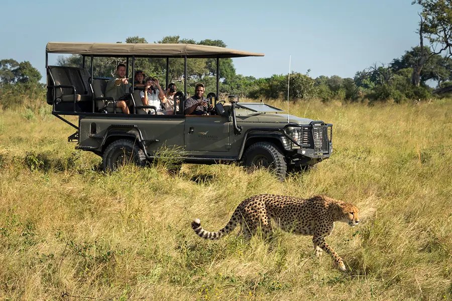 Selinda canoe trail, Botswana