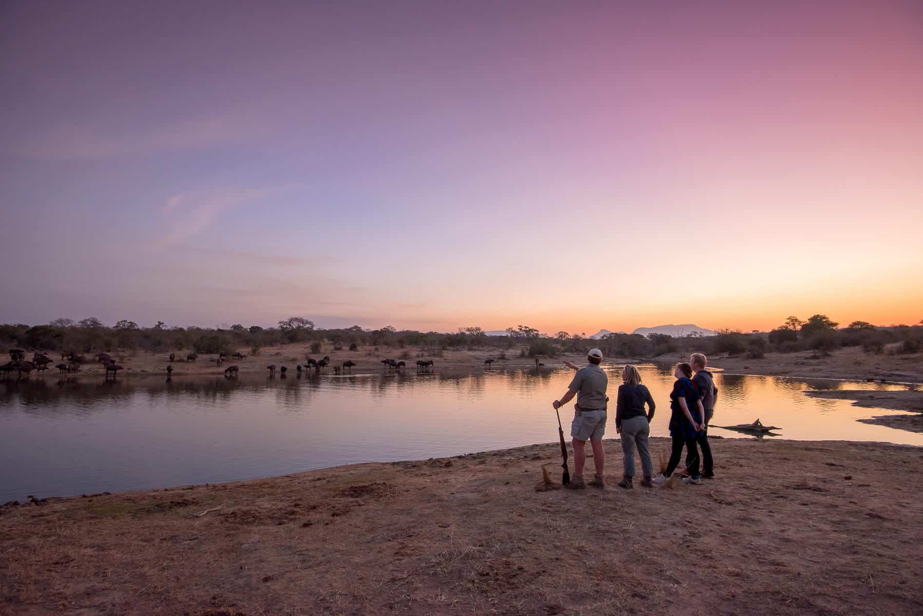 African sunset in Thornybush Game Reserve
