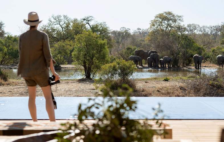 Waterhole in Thornybush Monwana River area