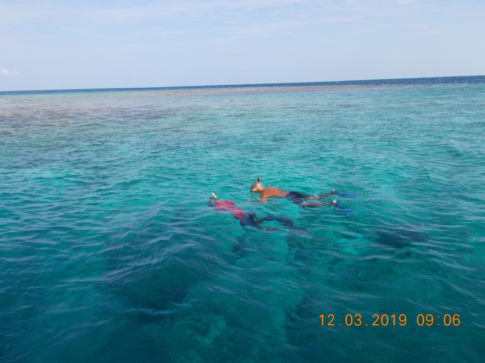 Snorkeller over a coral house reef in the Maldives
