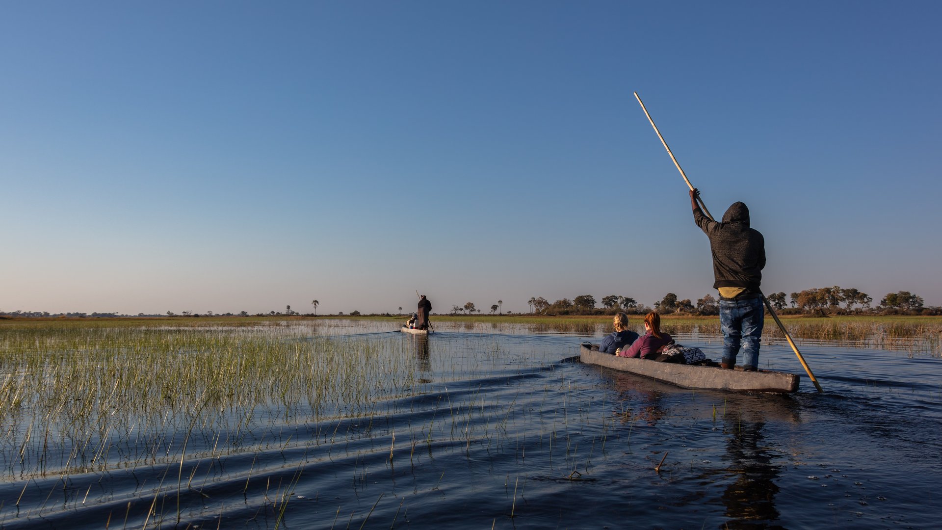 A poled mokoro gliding through the papyrus channels of the Okavango Delta in Botswana