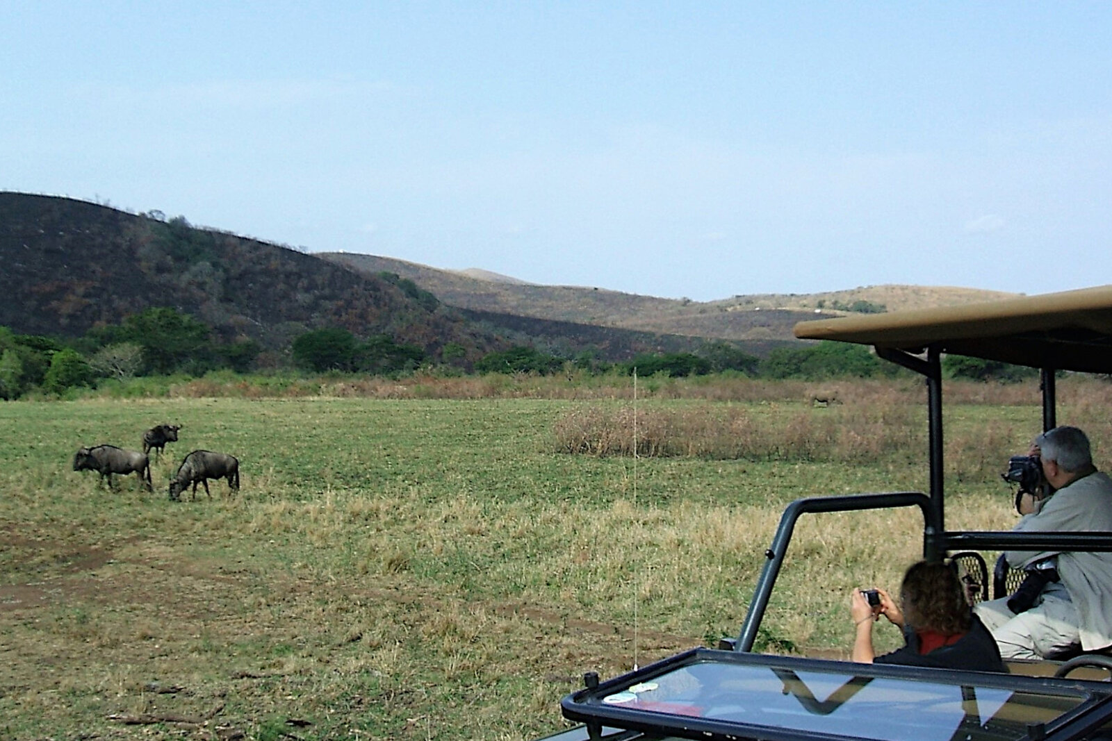 Guests on an open safari vehicle watching wildlife on the Garden Route in South Africa