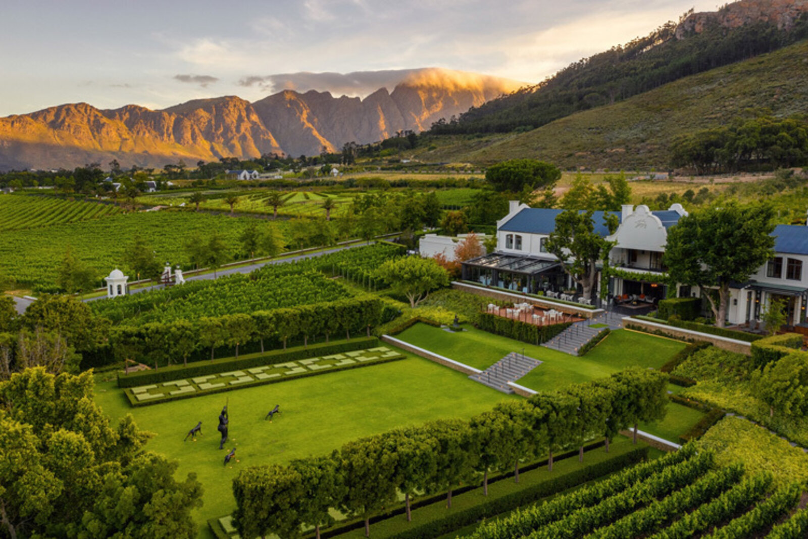 Aerial view of a Cape Winelands vineyard estate with mountain backdrop in South Africa