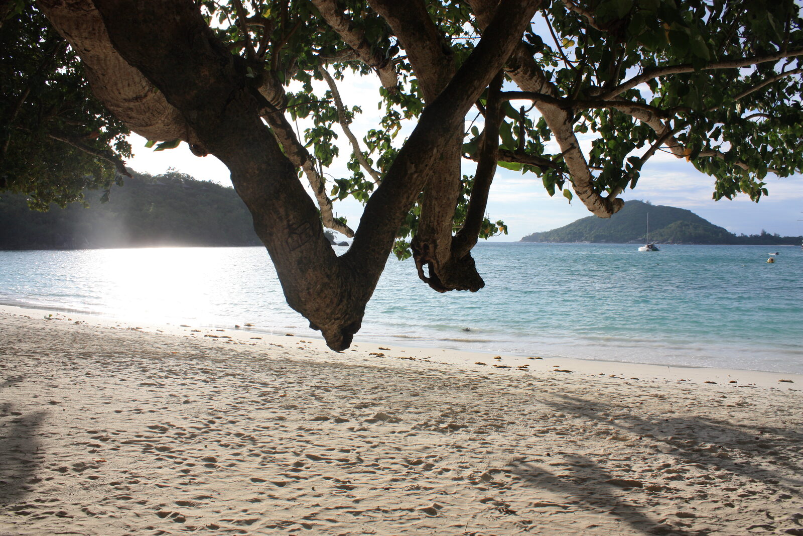 A beach villa giving onto a calm bay at a Seychelles resort