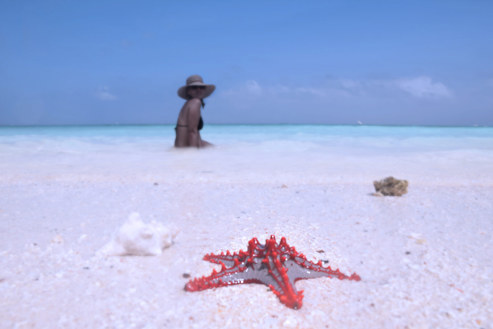 Aerial view of the turquoise reef around Mnemba atoll, Zanzibar