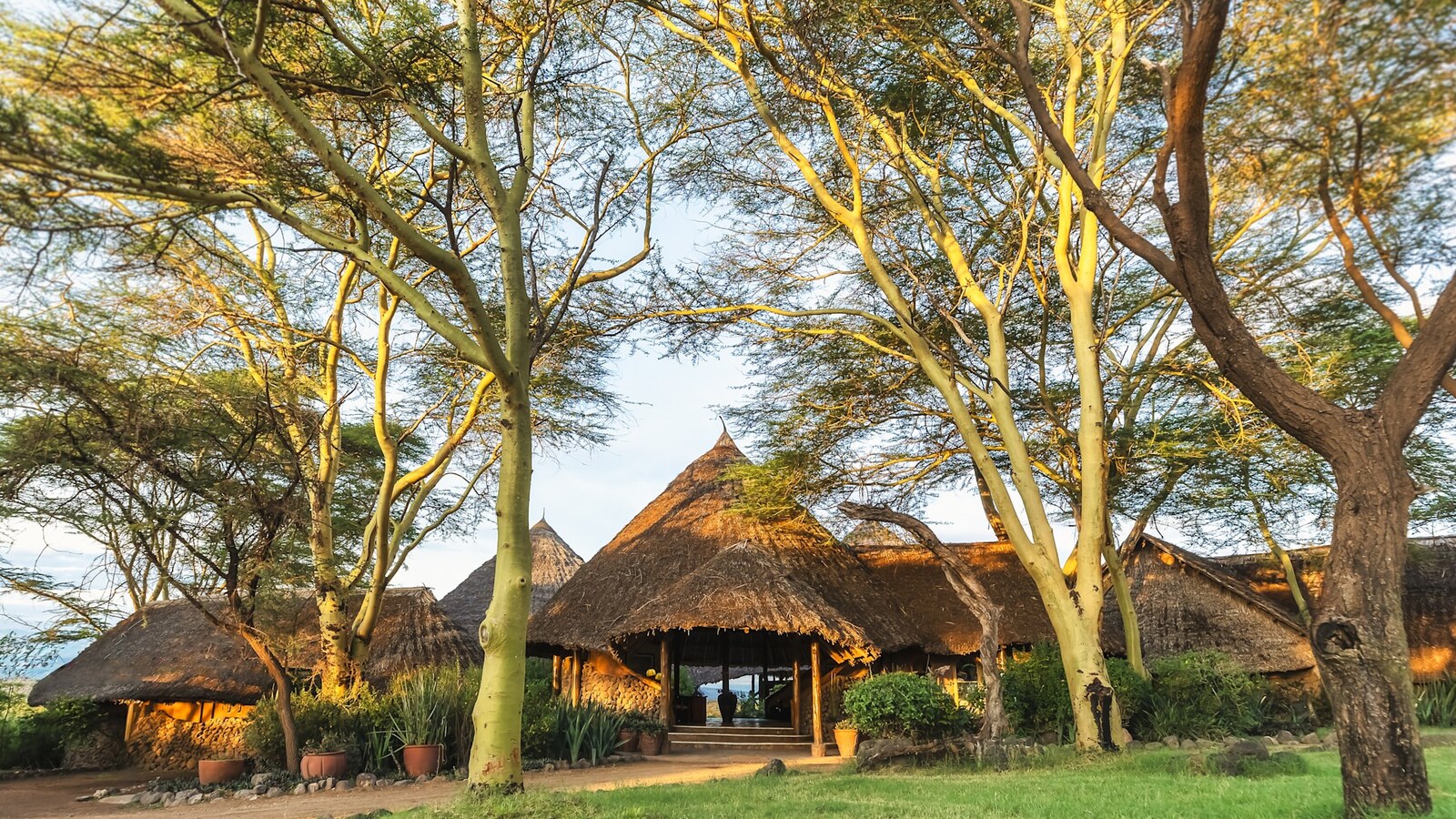Tortilis Camp main reception and dining area with thatched roof