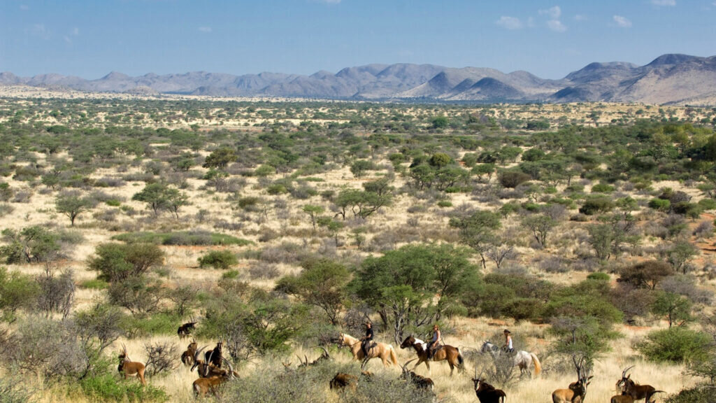 Guests on horseback safari across the open Kalahari plains at Tswalu