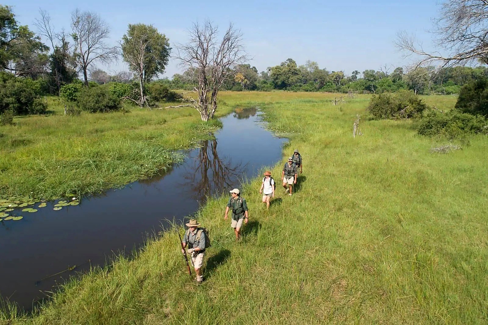 Guided walking safari group following a delta channel