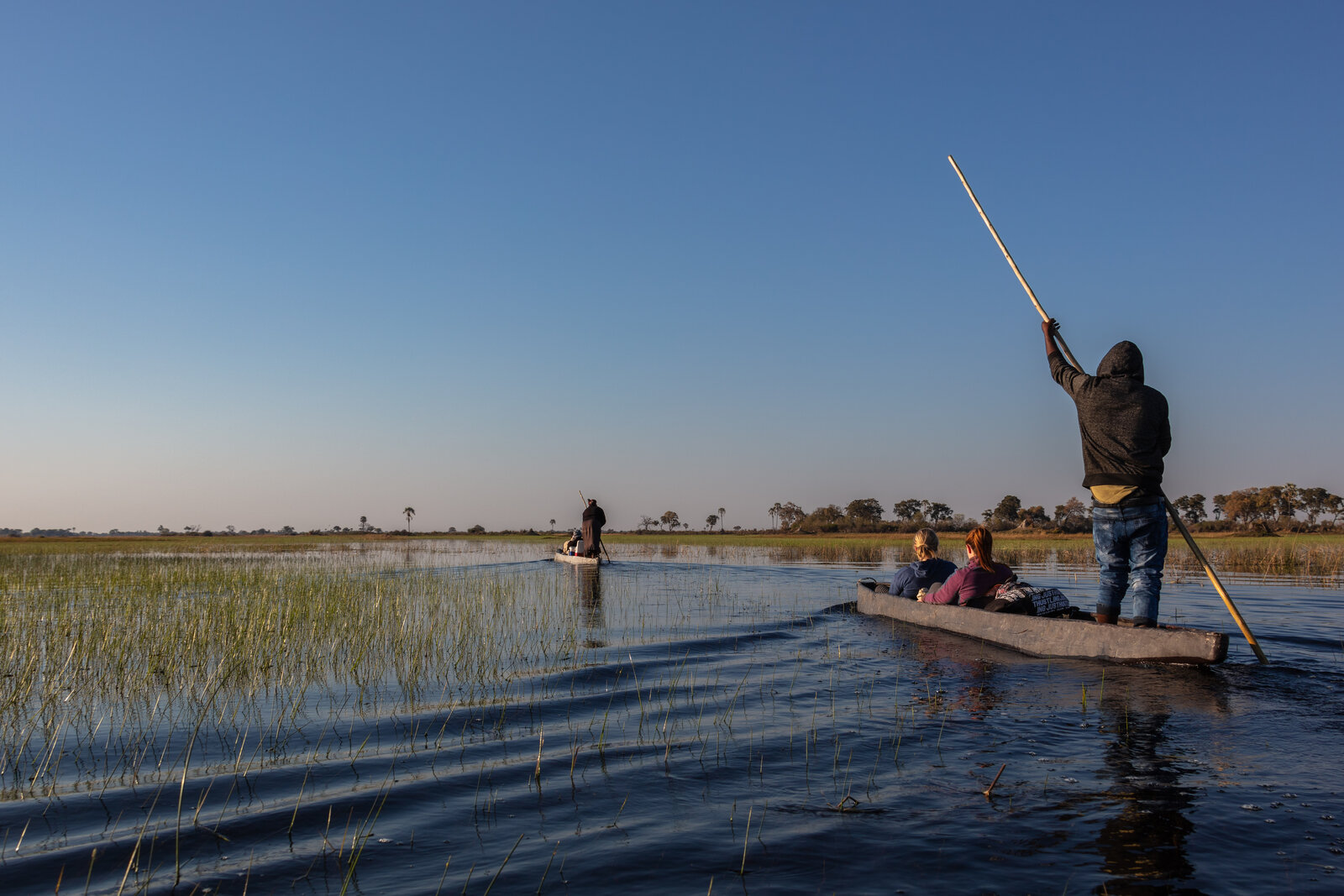 A poler guiding a mokoro dugout canoe through the channels of the Okavango Delta