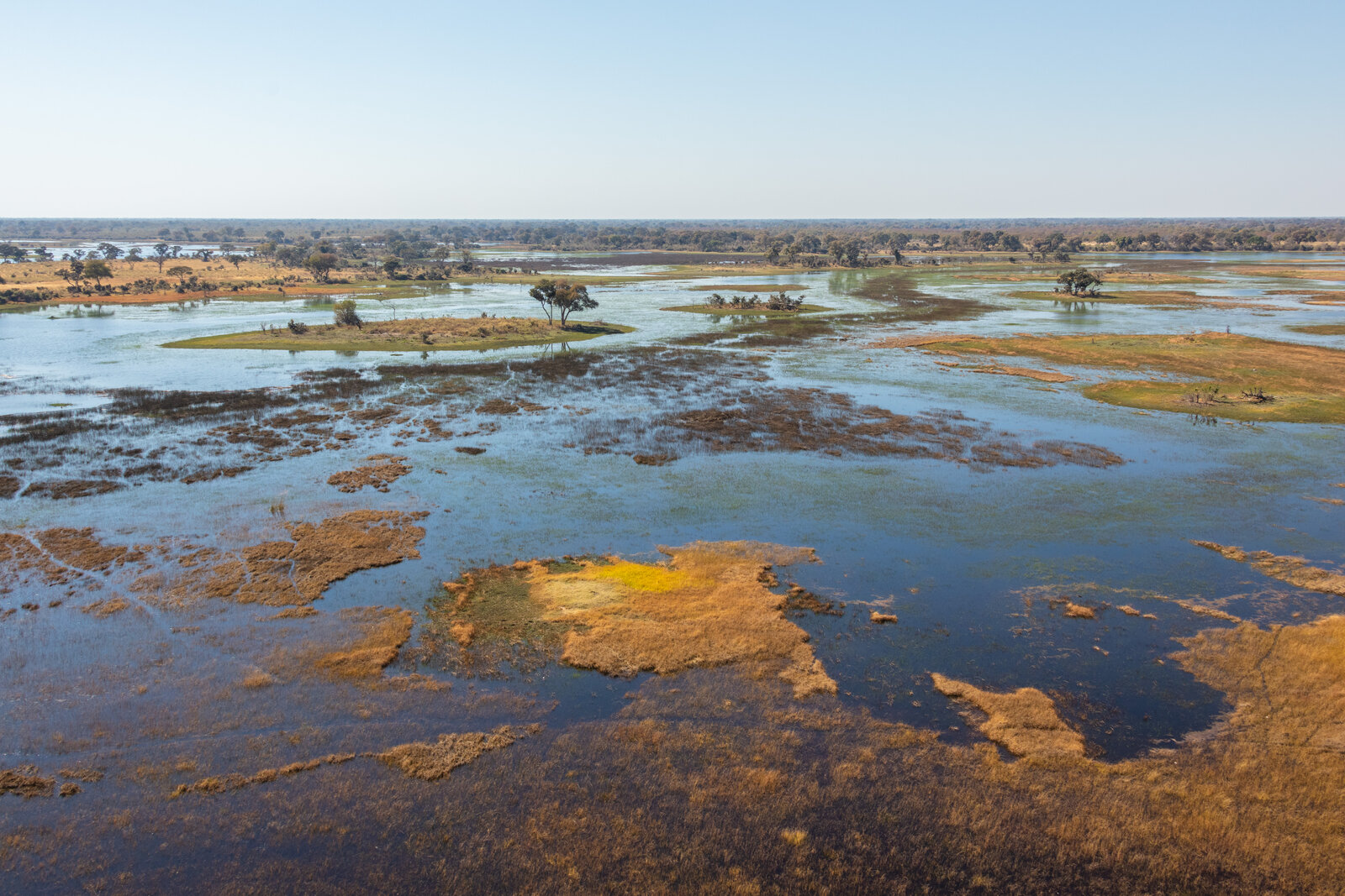Aerial view of the channels and islands of the Okavango Delta from a light aircraft