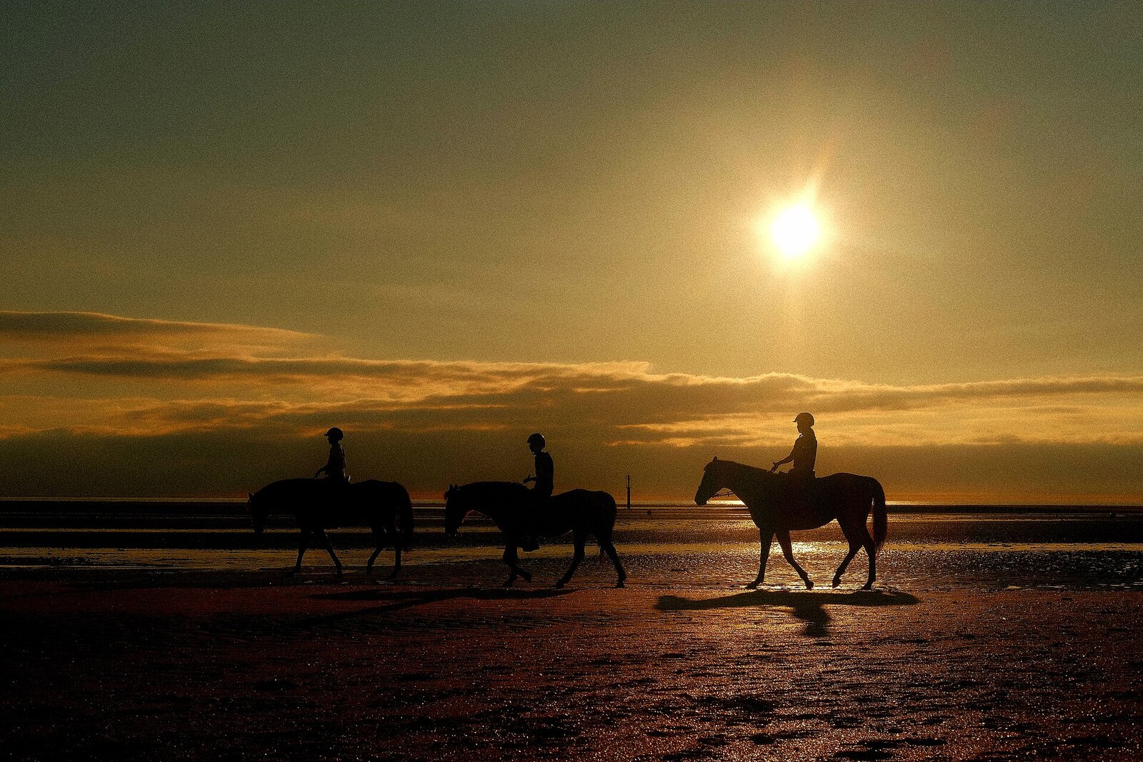 Horseback riders silhouetted at sunset on safari