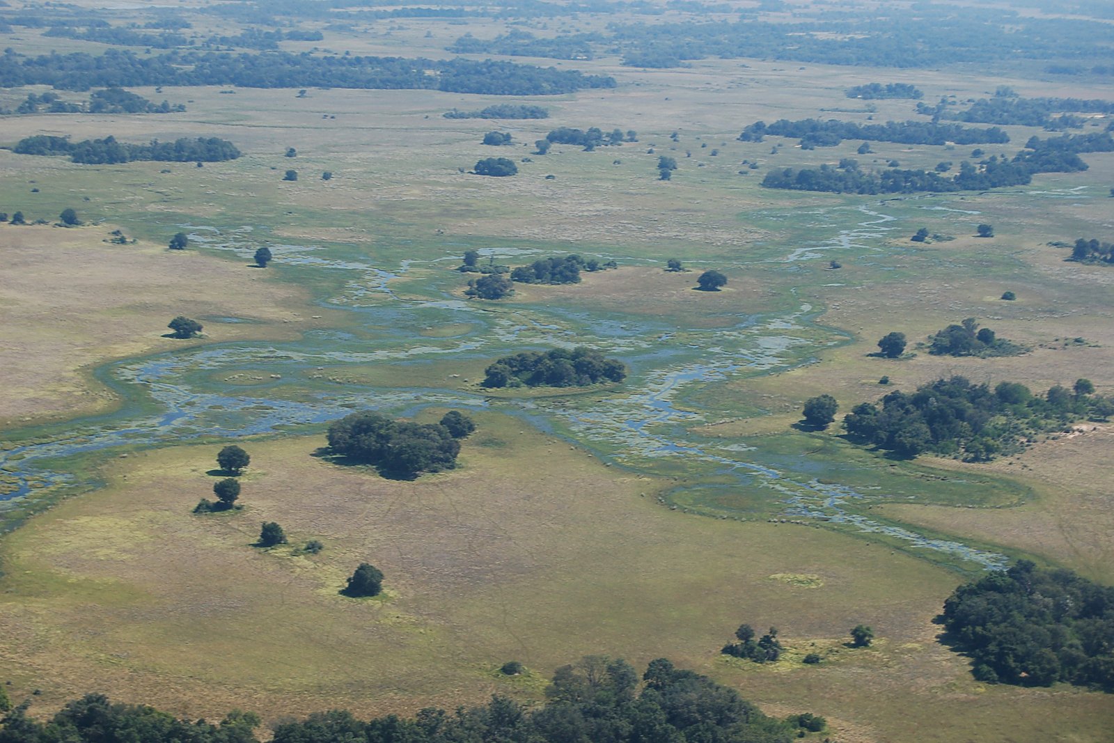Aerial view of the Okavango Delta waterways
