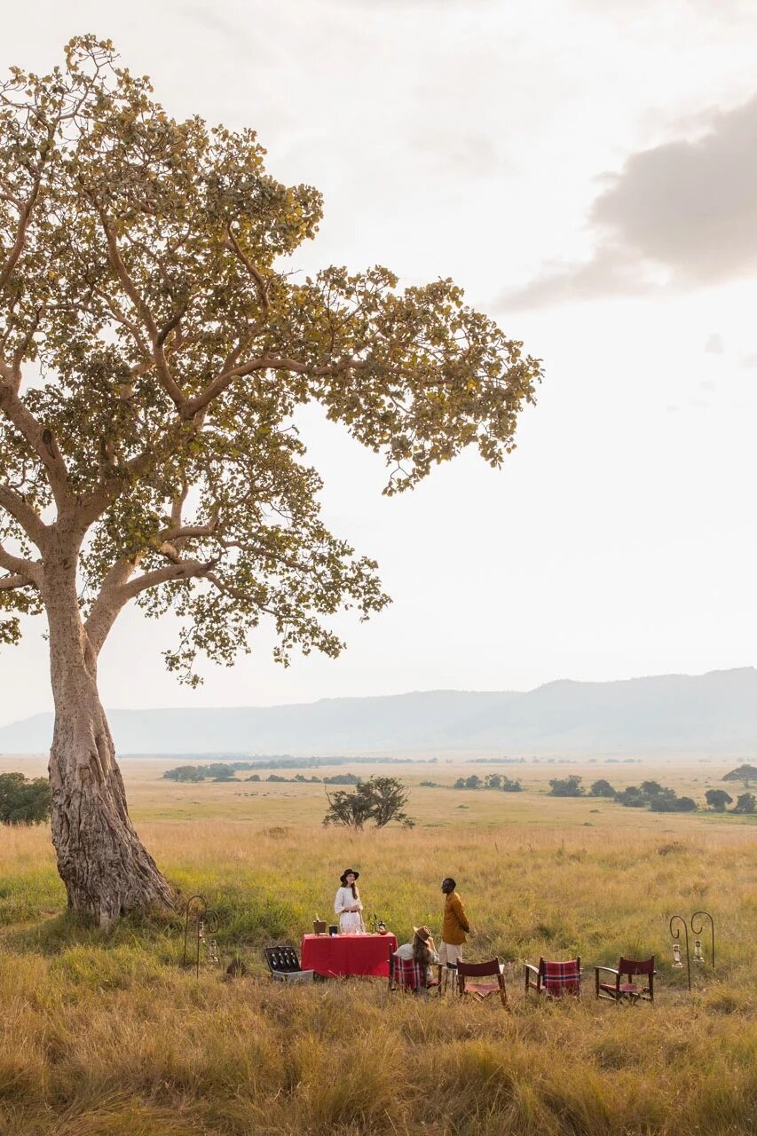 Bush picnic set up under an acacia at golden hour