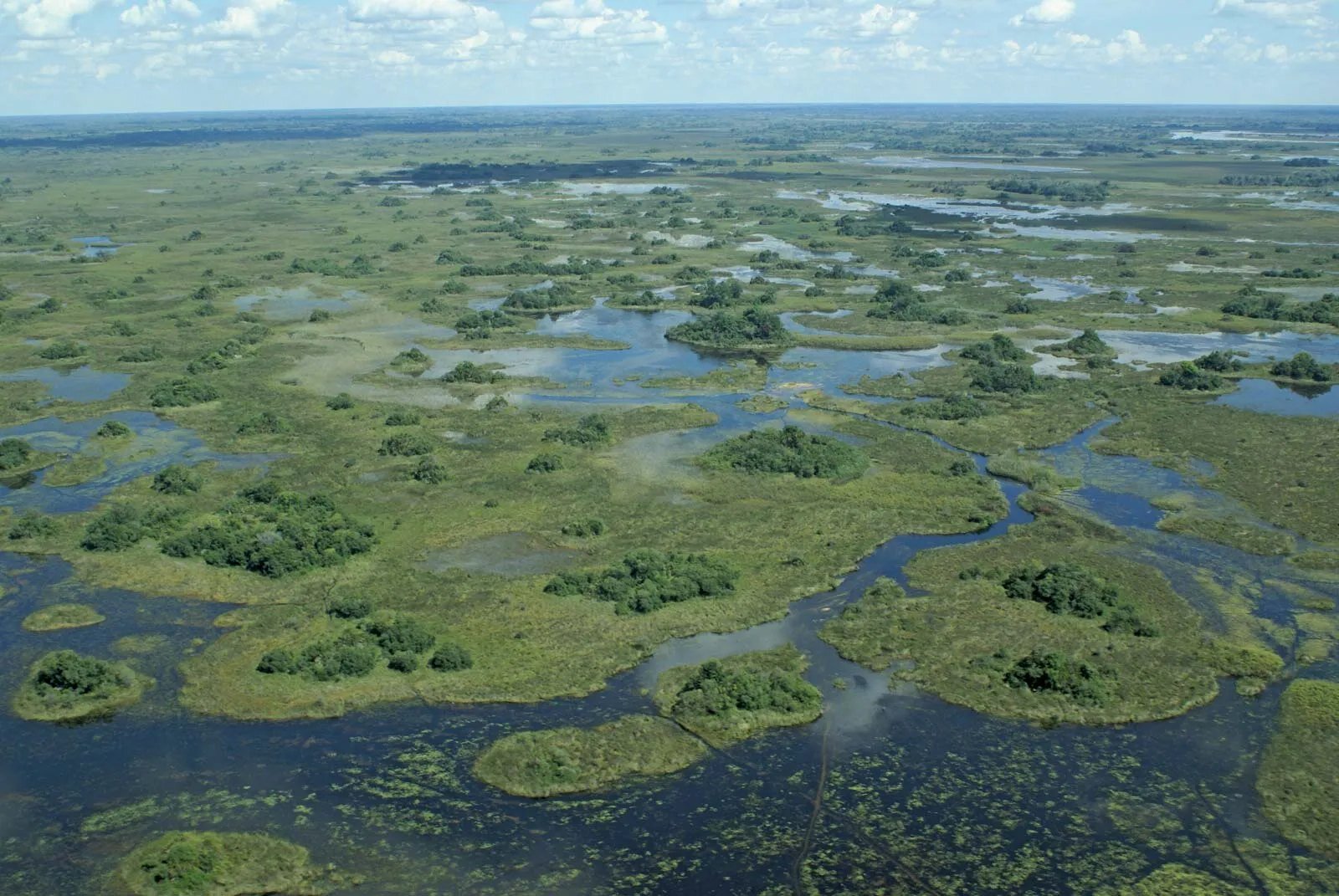 A traditional mokoro gliding through the channels of the Okavango Delta