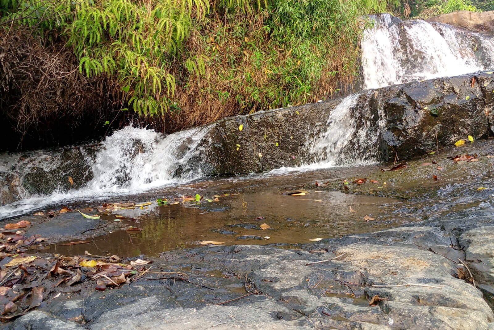 Karera Falls cascading through forest in southeastern Burundi