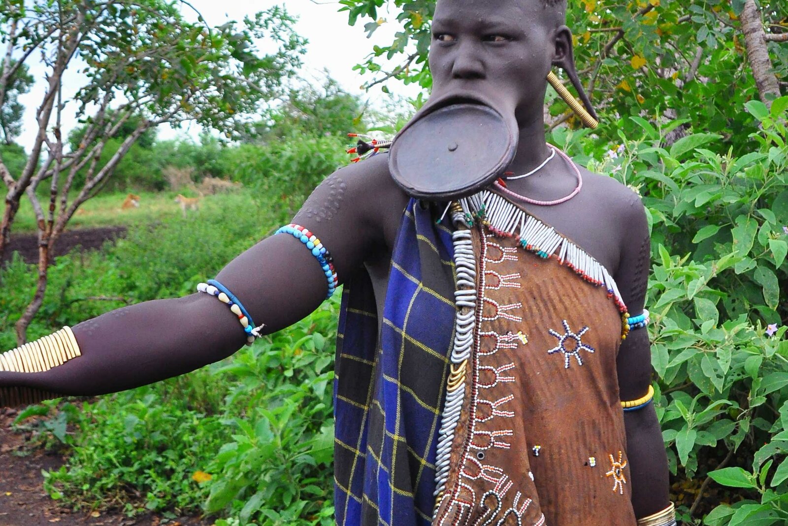 Mursi woman of the Omo Valley, Ethiopia