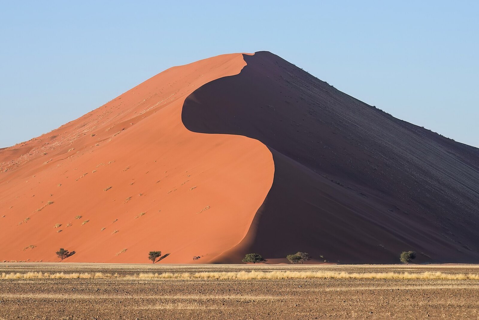 The towering red dune known as Dune 45 in Sossusvlei