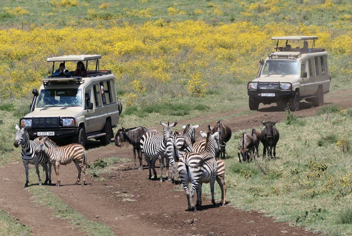 The vast floor of the Ngorongoro Crater seen from the rim