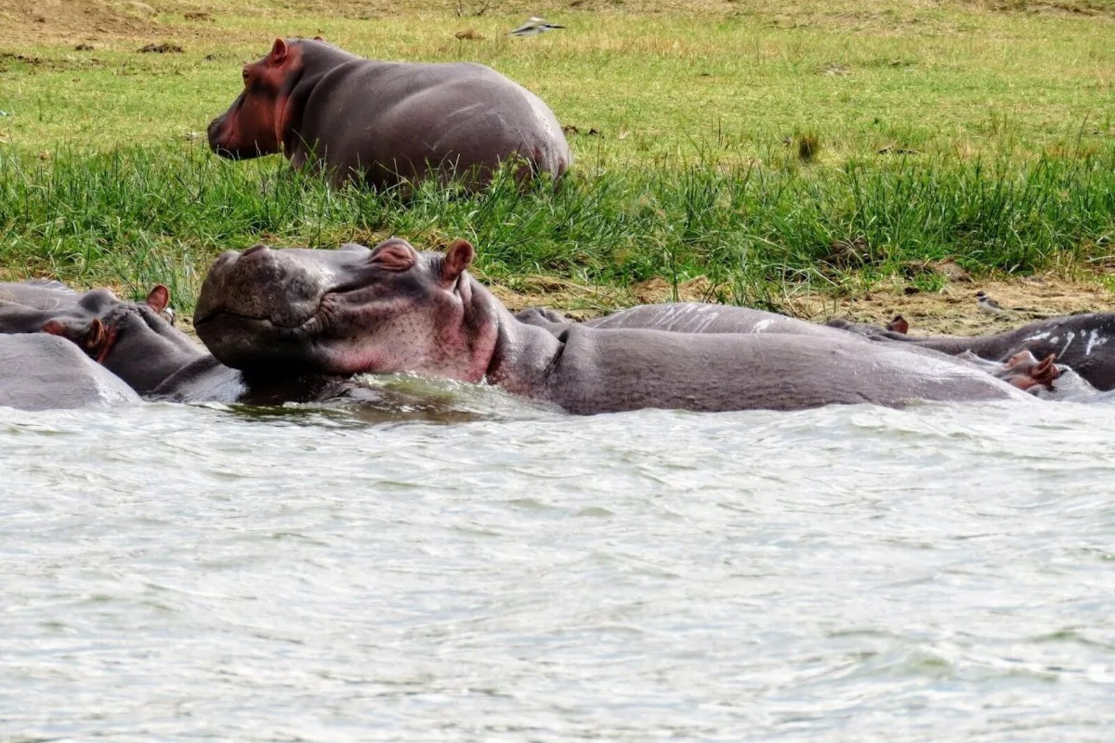 Kidepo Valley National Park, Uganda — remote wilderness