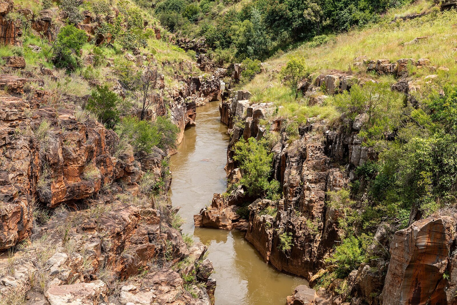 The swirling rock cauldrons of Bourke's Luck Potholes, carved by the Blyde and Treur rivers in Mpumalanga