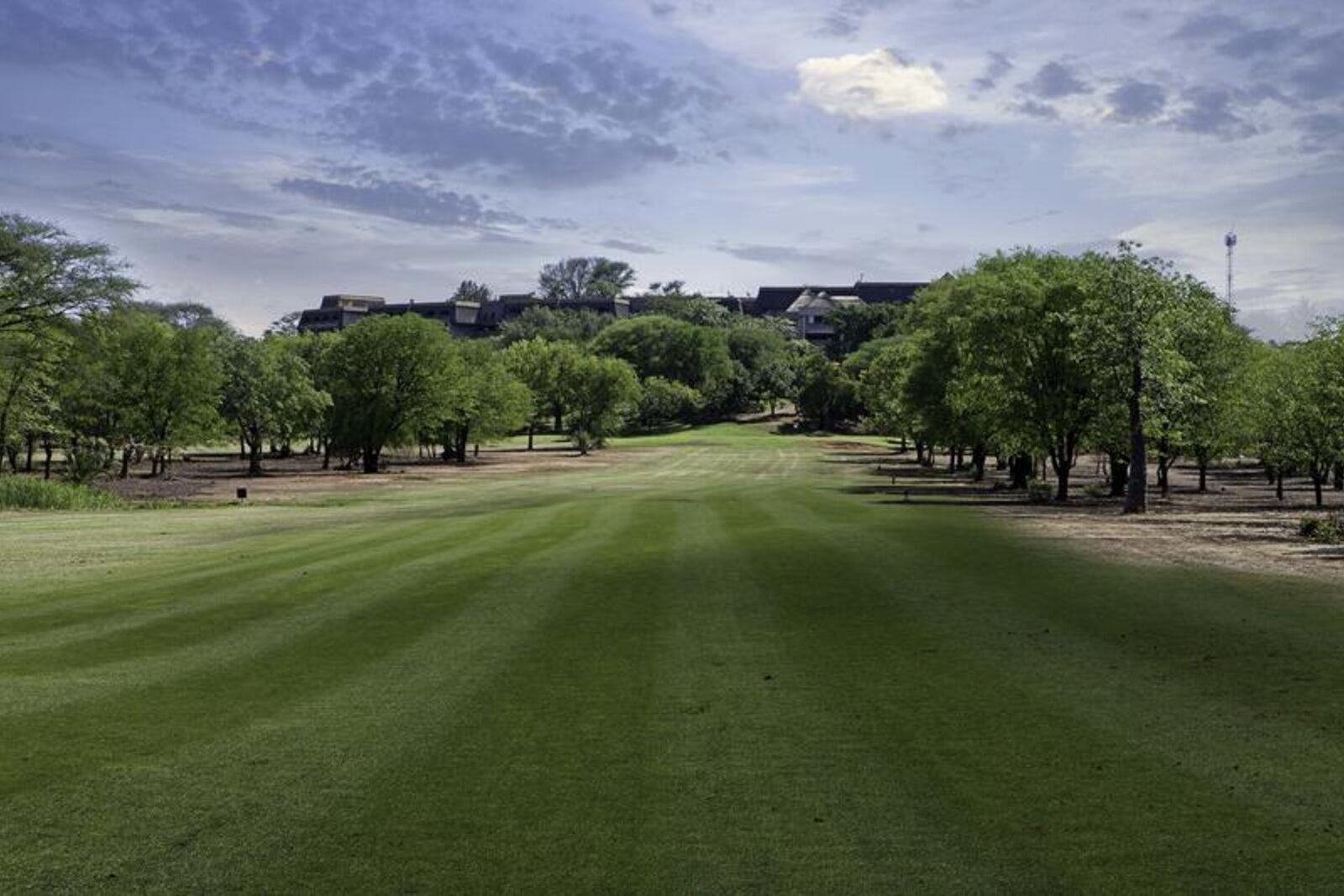Golf holes carved out of the indigenous bush at Elephant Hills, Zimbabwe