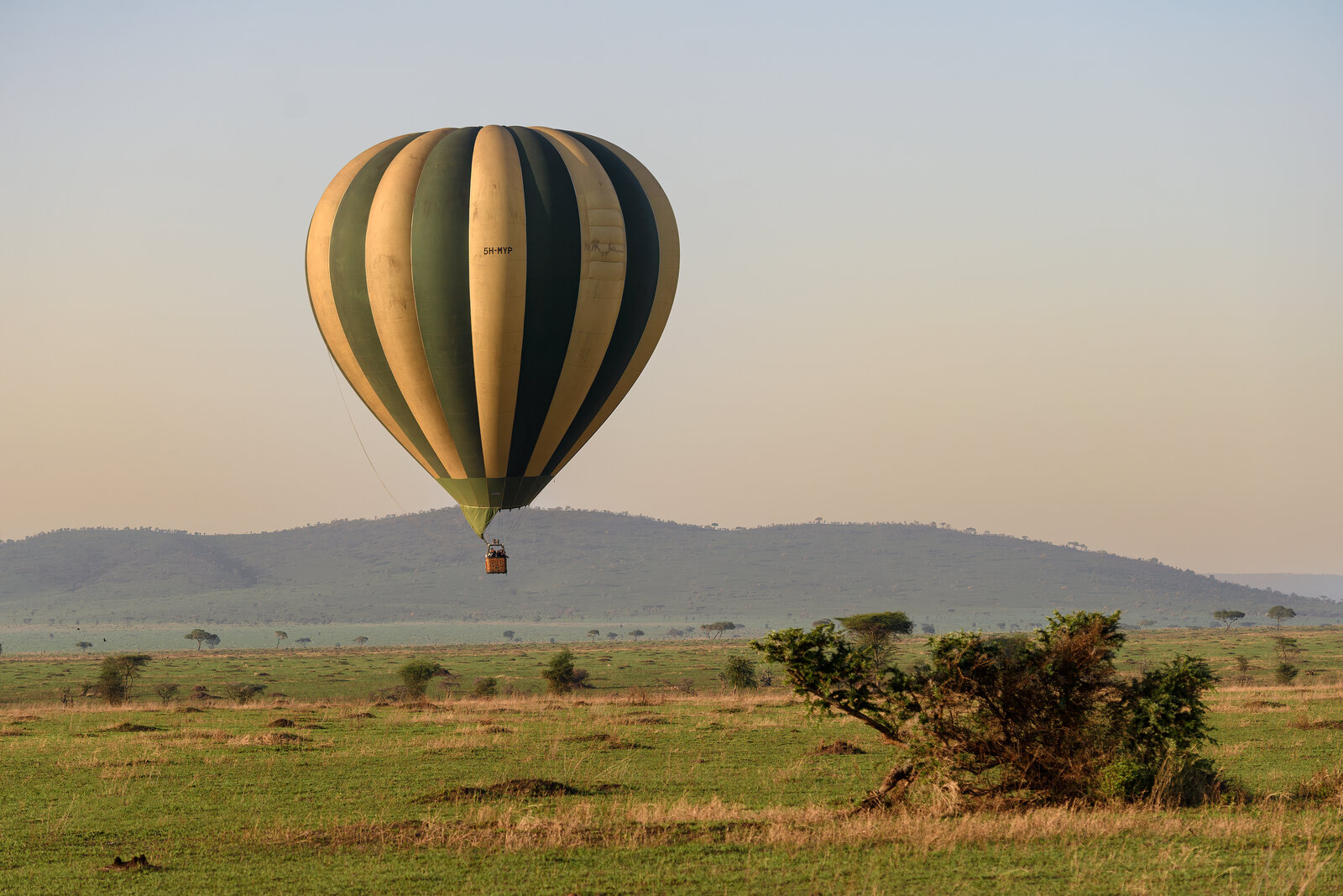 A hot-air balloon drifting over the plains at dawn on a balloon safari