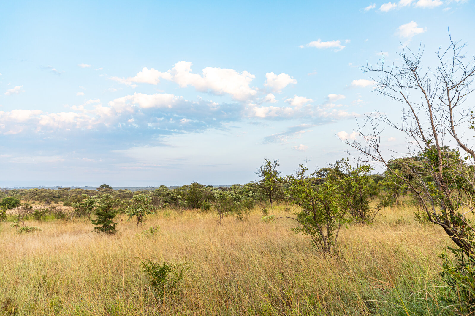 Self-catering rondavel bungalow in a Kruger rest camp