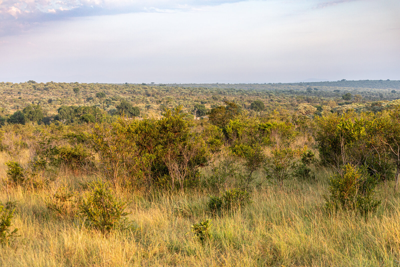 Clifftop view over the Olifants River from a Kruger rest camp