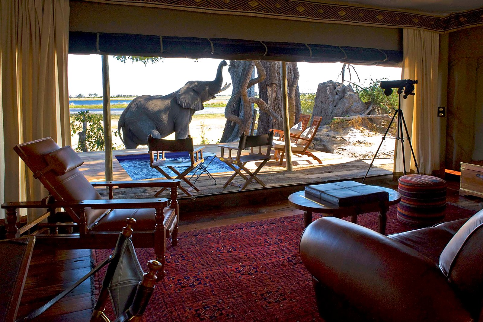 An elephant framed by the open front of a tented suite at Zarafa Camp, Selinda Reserve