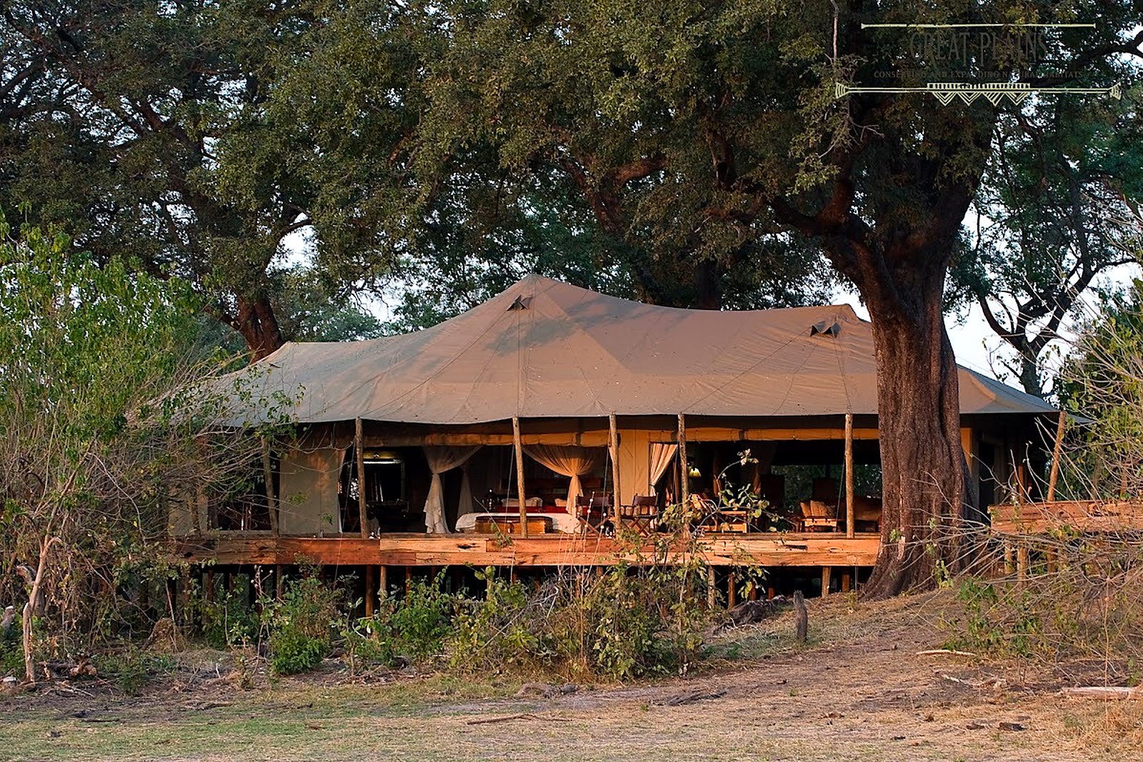 A raised tented suite tucked beneath ancient trees at Zarafa Camp, Selinda
