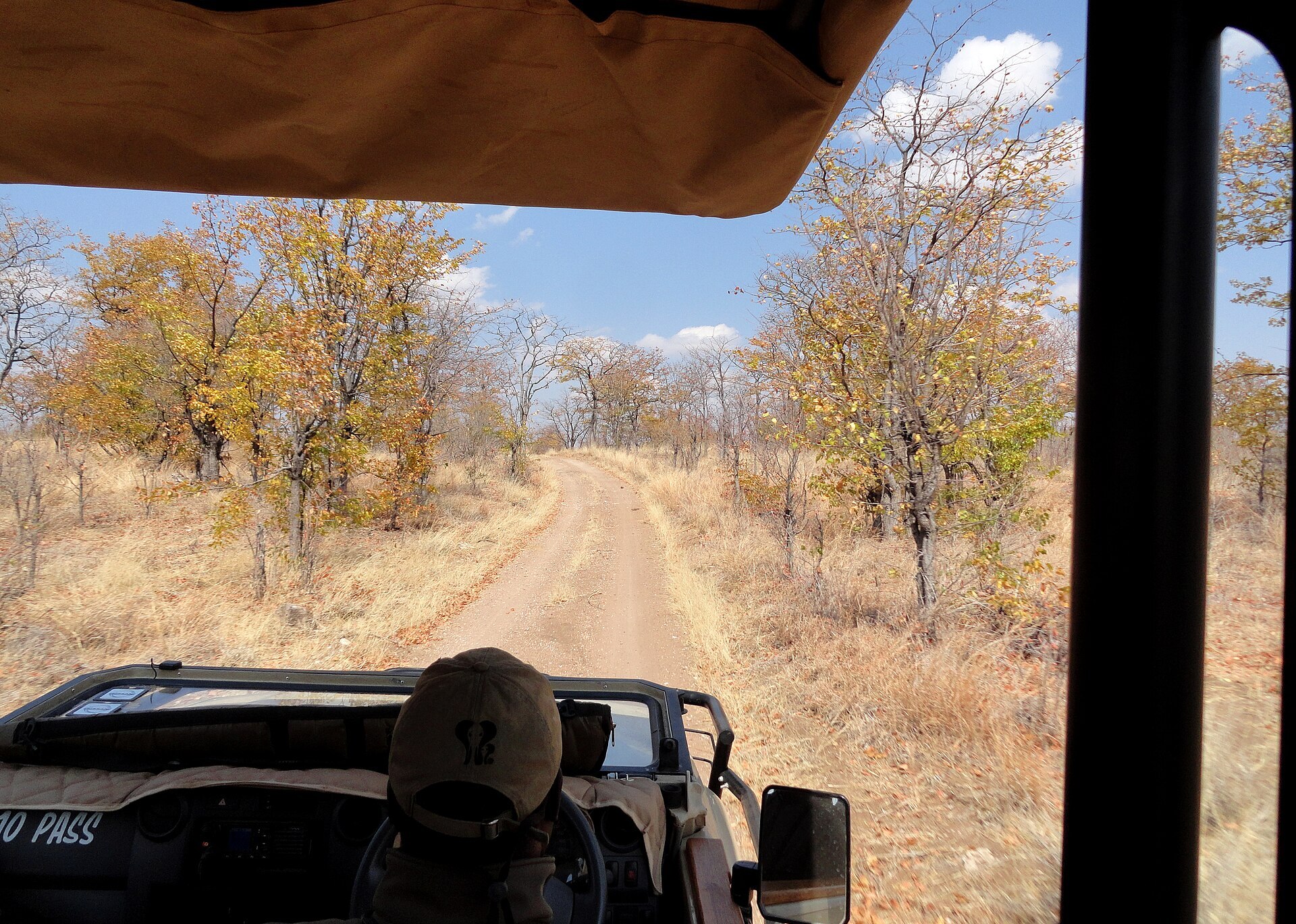 Little Makalolo Camp in the Hwange wilderness