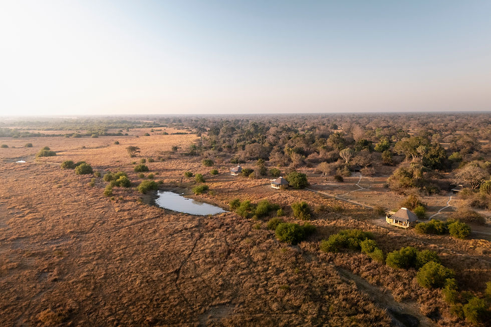 Aerial view of the Busanga Plains, Kafue