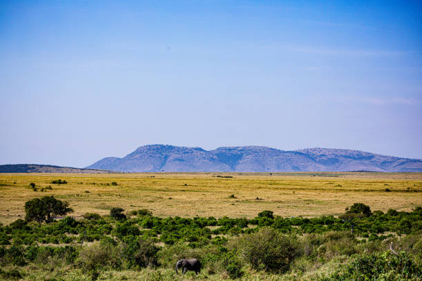 Tsavo National Parks (East & West)