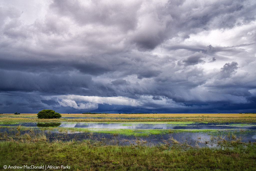 Flooded grasslands, Liuwa Plain