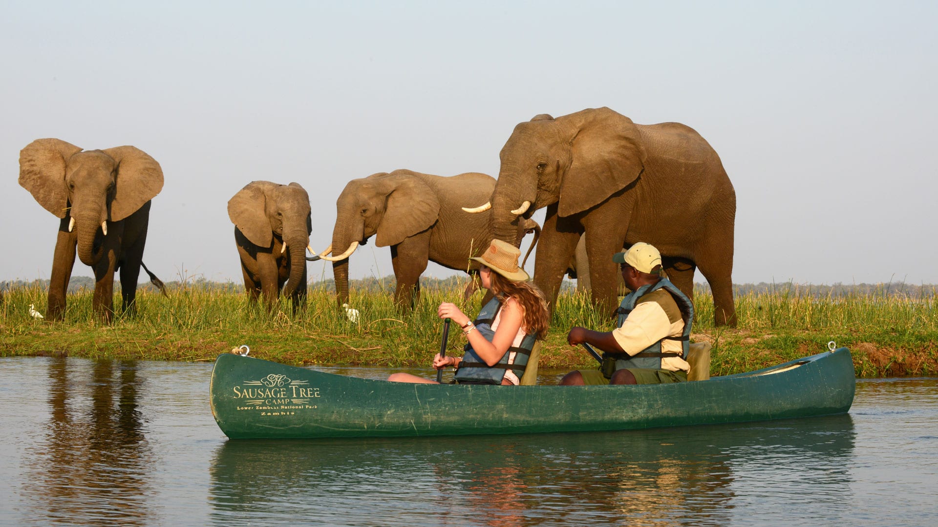Canoe drifting past wildlife on the Zambezi River