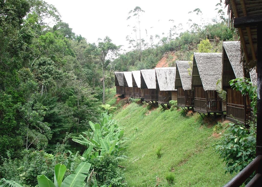 Feon'ny Ala bungalows beside the Andasibe reserve