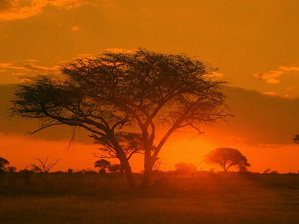 Matobo Hills landscape