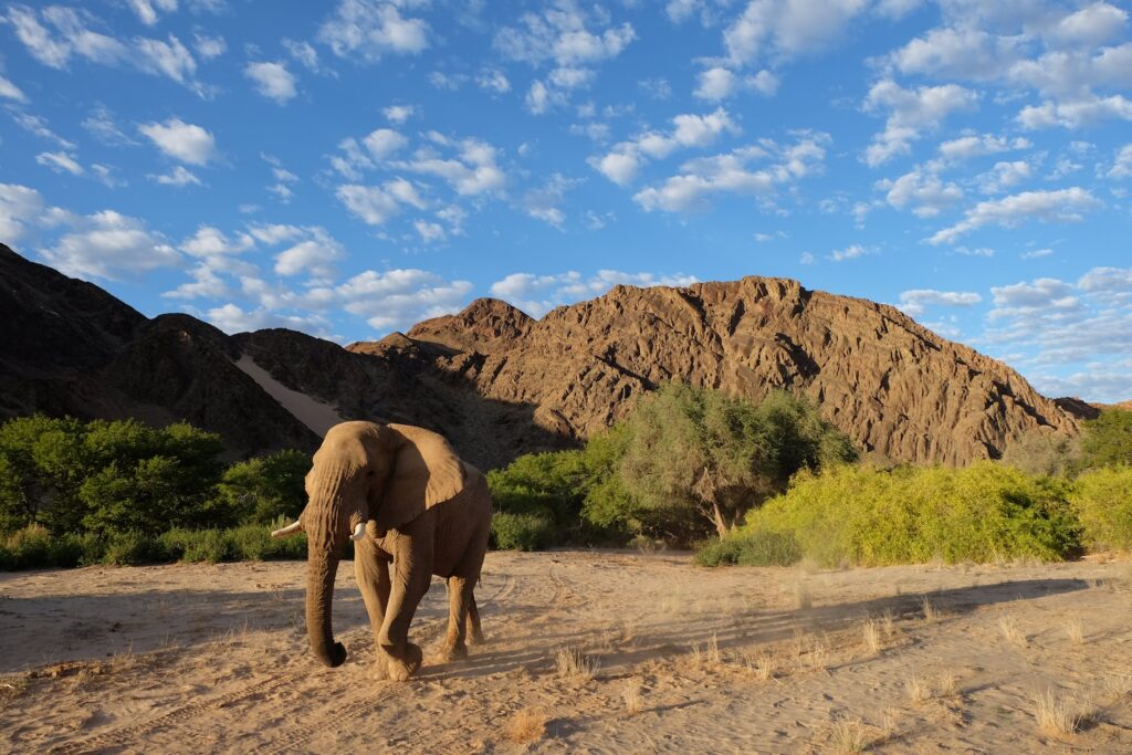 Damaraland