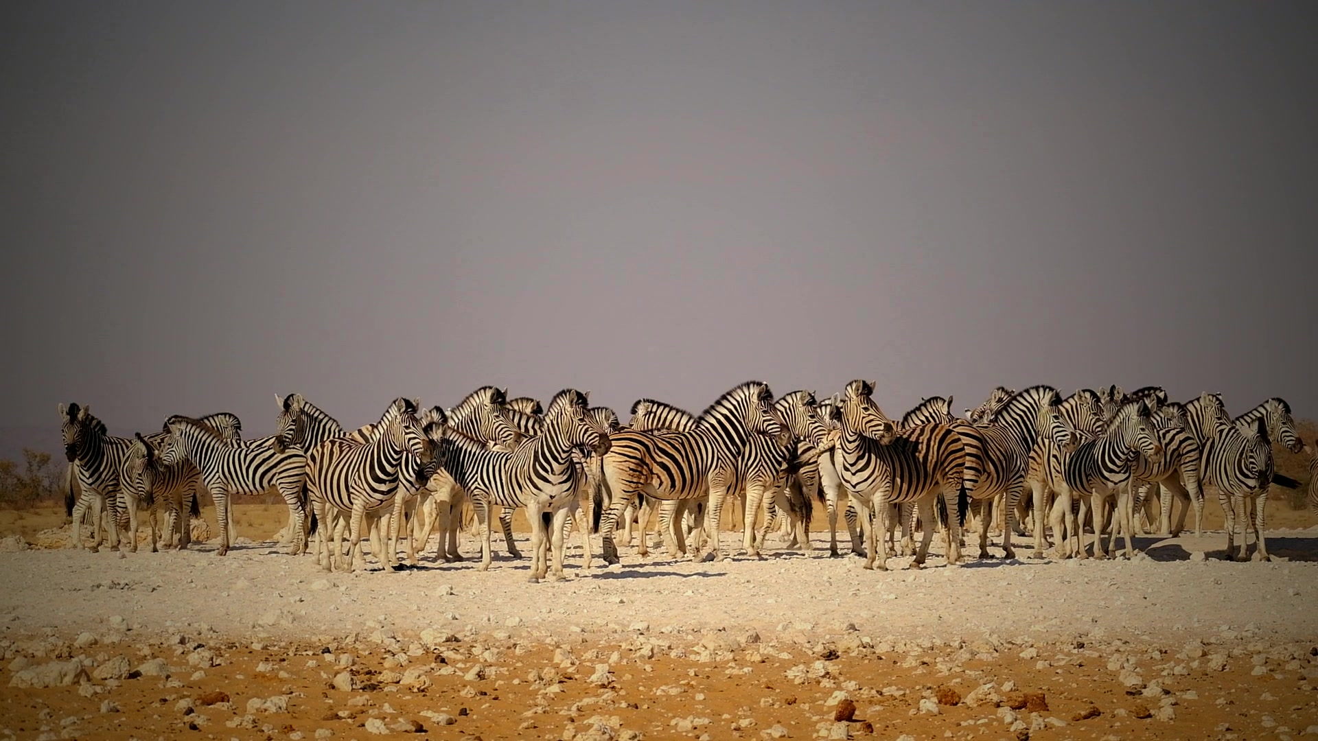 When to Visit Namibia for Safari: Month-by-Month — Beyond Africa Safaris