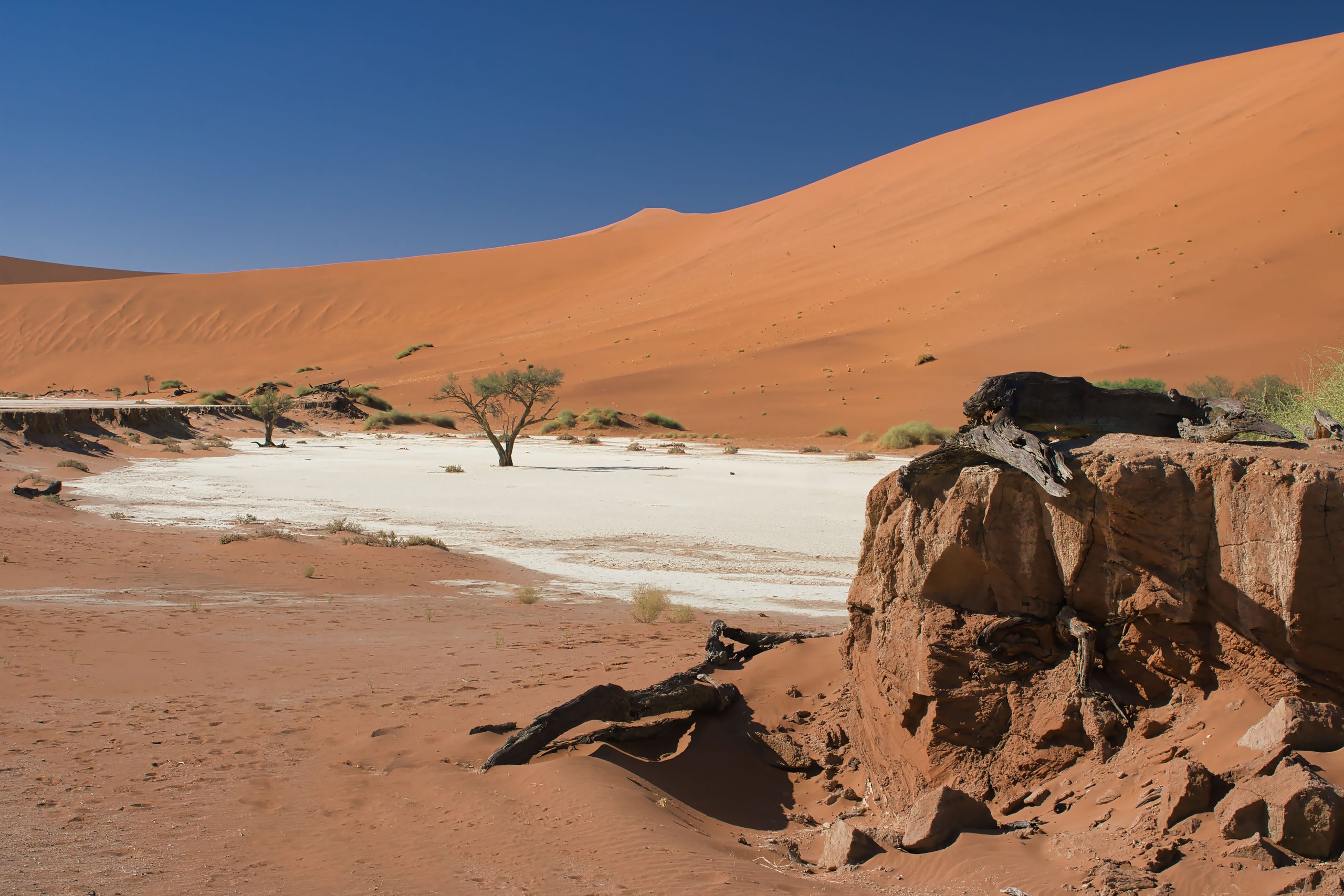 Sossusvlei & the Namib Sand Sea