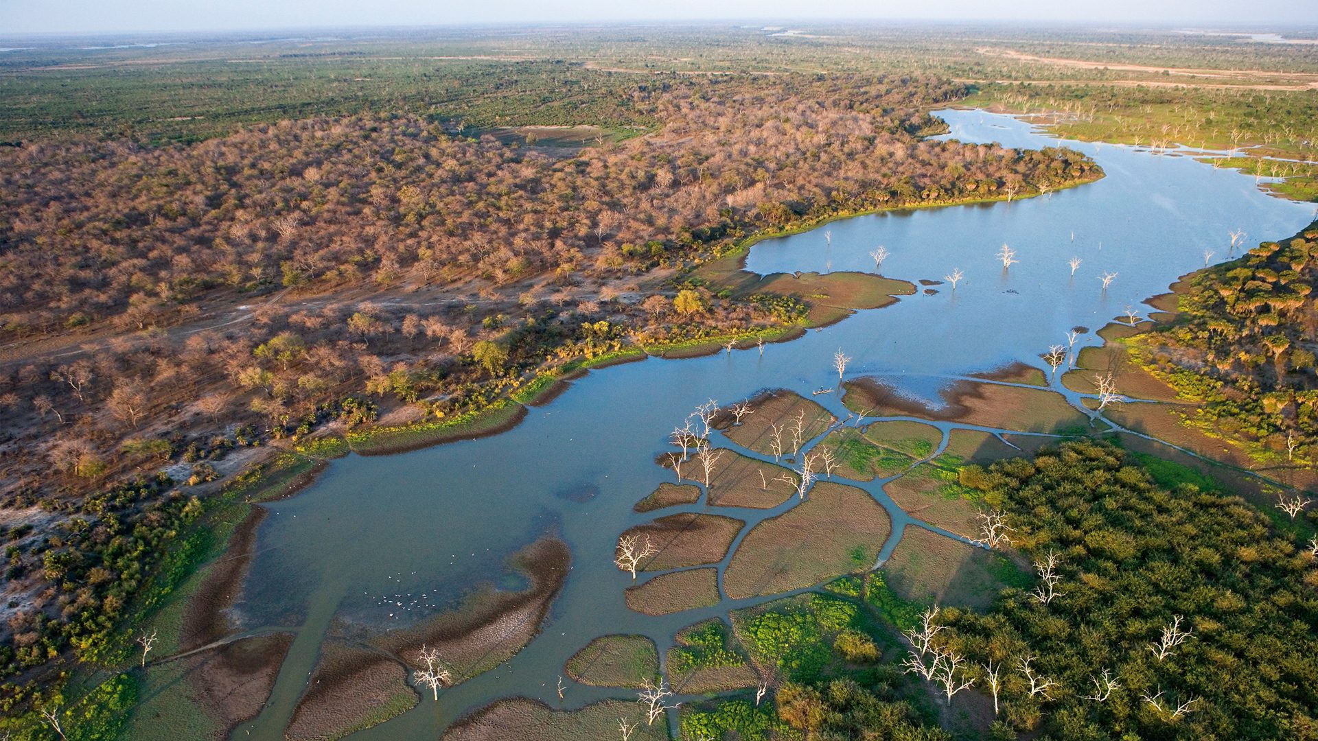 Okavango Delta: Africa's Last Eden — Safari Guide