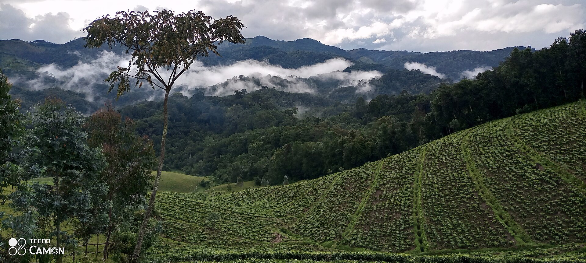 Gishwati-Mukura National Park safari landscape
