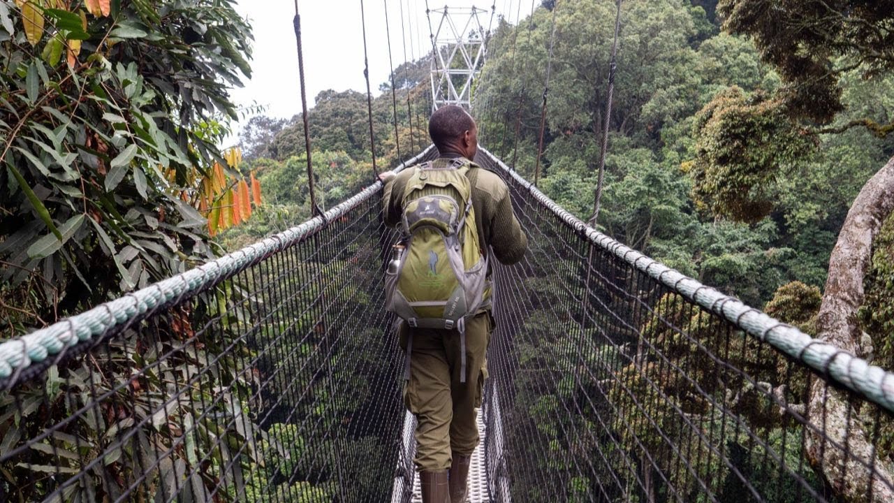 Nyungwe Forest National Park