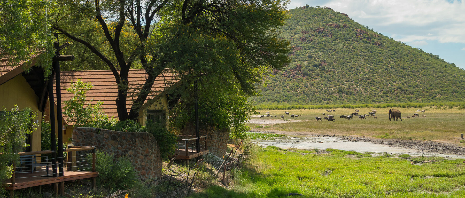 Thatched chalets of Tau Game Lodge arranged in a U-formation overlooking a natural waterhole where elephants drink, in the malaria-free Madikwe Game Reserve