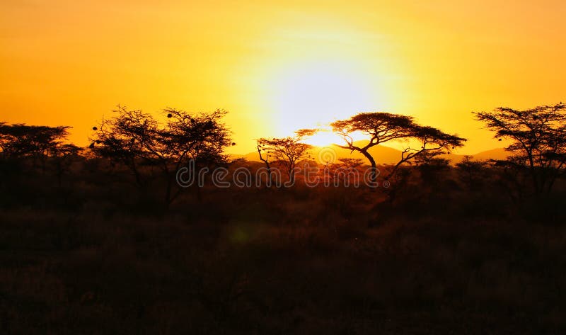 Ruaha National Park