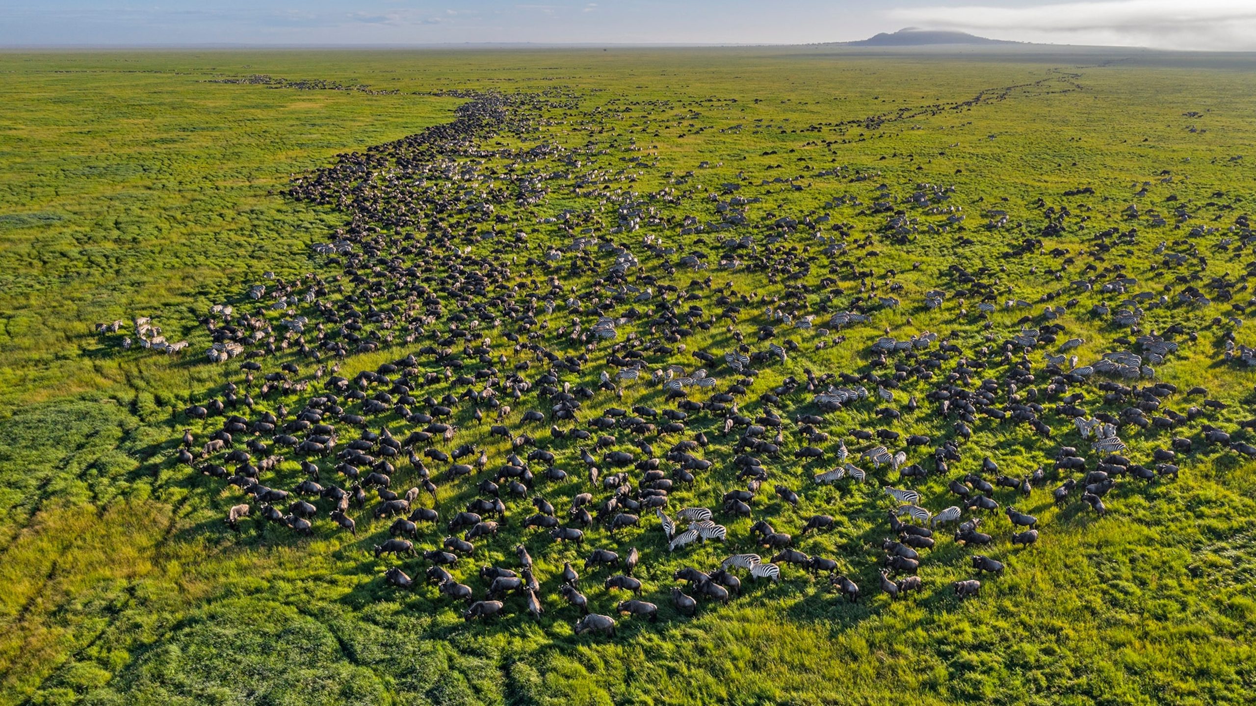 Serengeti National Park