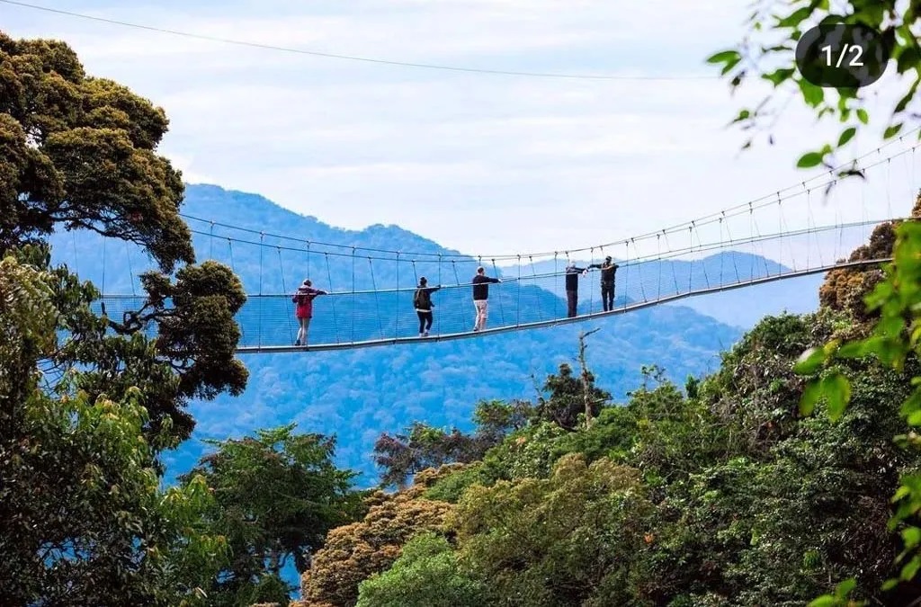 Kibale Forest National Park